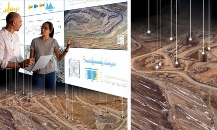 Managing a Digital Ecosystem for Mining